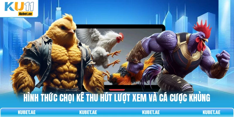 Hình thức chọi kê thu hút lượt xem và cá cược khủng Hình thức chọi kê thu hút lượt xem và cá cược khủng