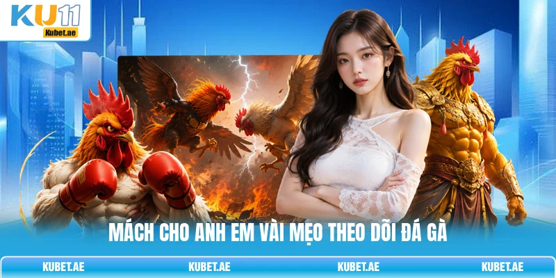 Mách cho anh em vài mẹo theo dõi đá gà