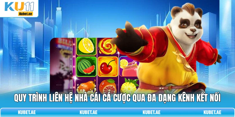 Quy trình liên hệ nhà cái cá cược qua đa dạng kênh kết nối